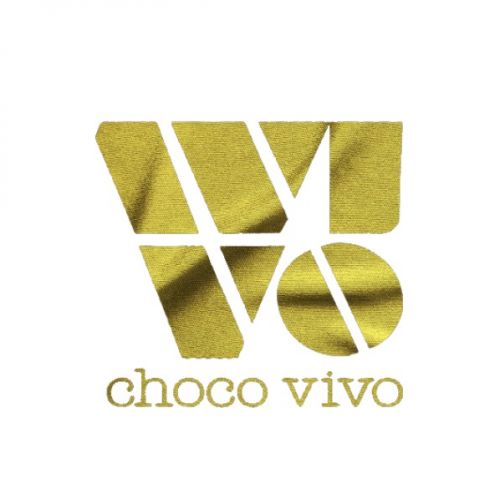 choco-vivo.com favicon